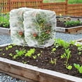 thumbnail image 3 of Net Cover with Drawstring Cover Greenhouse Fruit Tree Cover Bird Proof Garden Net Cover, 3 of 6