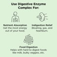 thumbnail image 4 of NBPure Digestive Enzyme Complex, Once Daily, 90 Capsules, 4 of 7
