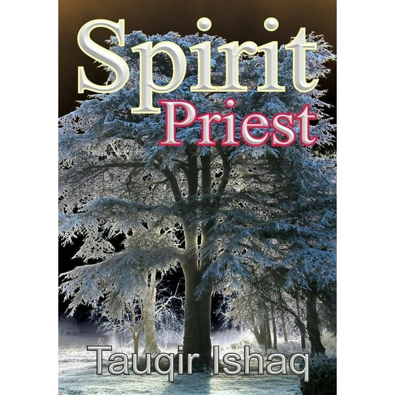 Spirit Priest (Paperback)