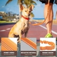 thumbnail image 2 of Correa para perros AUROTH, resistente, elástica, de nailon, naranja, para perros grandes, 2 of 7