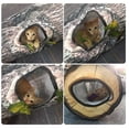 thumbnail image 2 of Túnel para Gatos Túnel para Gatos Espacio Interior Grande Grano de Madera Realista, 2 of 9