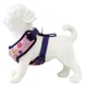 thumbnail image 4 of Pechera Arnes Ajustable Con Correa Para Perro, 4 of 8