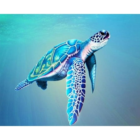 Coiry Oil Paint By Numbers Picture DIY Painting Turtle Animal Nature Drawing  on Canvas | Walmart Canada