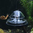 thumbnail image 5 of Trampa para caracoles con acuario transparente, pecera ambiental, captura de plantas de caracol de plástico, 2 uds., 5 of 5
