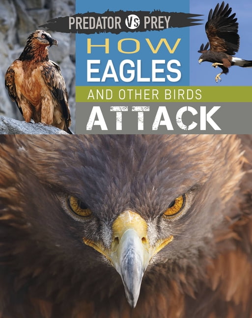 Birds of Prey: Hawks, Eagles, Falcons, and Vultures of North