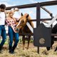 thumbnail image 5 of Un Caballo Es Una Bolsa. Bolsa de alimentación Oxford para colgar con bolsa de red de alimentación con orificio para equipos agrícolas (negro) Ndcxsfigh Para Estrenar, 5 of 7