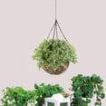 thumbnail image 2 of Northlight 10” Green Artificial Hanging Two-Tone Foliage Basket, 2 of 2