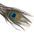 thumbnail image 3 of 2x Recorte de s de Cola de Ojo de Pavo Real de 10 Piezas para Manualidades de Bricolaje Decoración de Sombreros de 9 a 13 Pulgadas Macarena Ajuste de encaje de colores, 3 of 5
