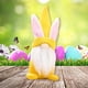 thumbnail image 1 of RKSTN easter decorations Easter Decorations For Indoor Spring Home Bedroom Office Decor Tabletop Easter Day Gifts, 1 of 7