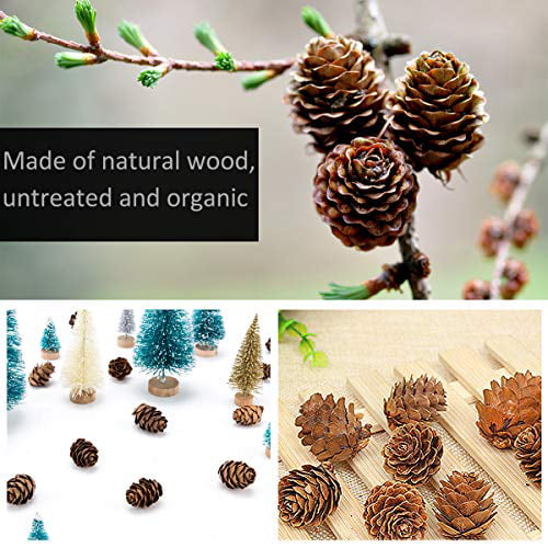 Fall and Christmas Crafts Apipi 200pcs Thanksgiving Rustic Mini Brown Pine Cones in Bulk Christmas Natural Pine Cones Ornaments for Home Decoration 