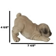 thumbnail image 2 of Realistic Lifelike Adorable Fawn Pug Puppy Dog Crouching Playfully Figurine, 2 of 9