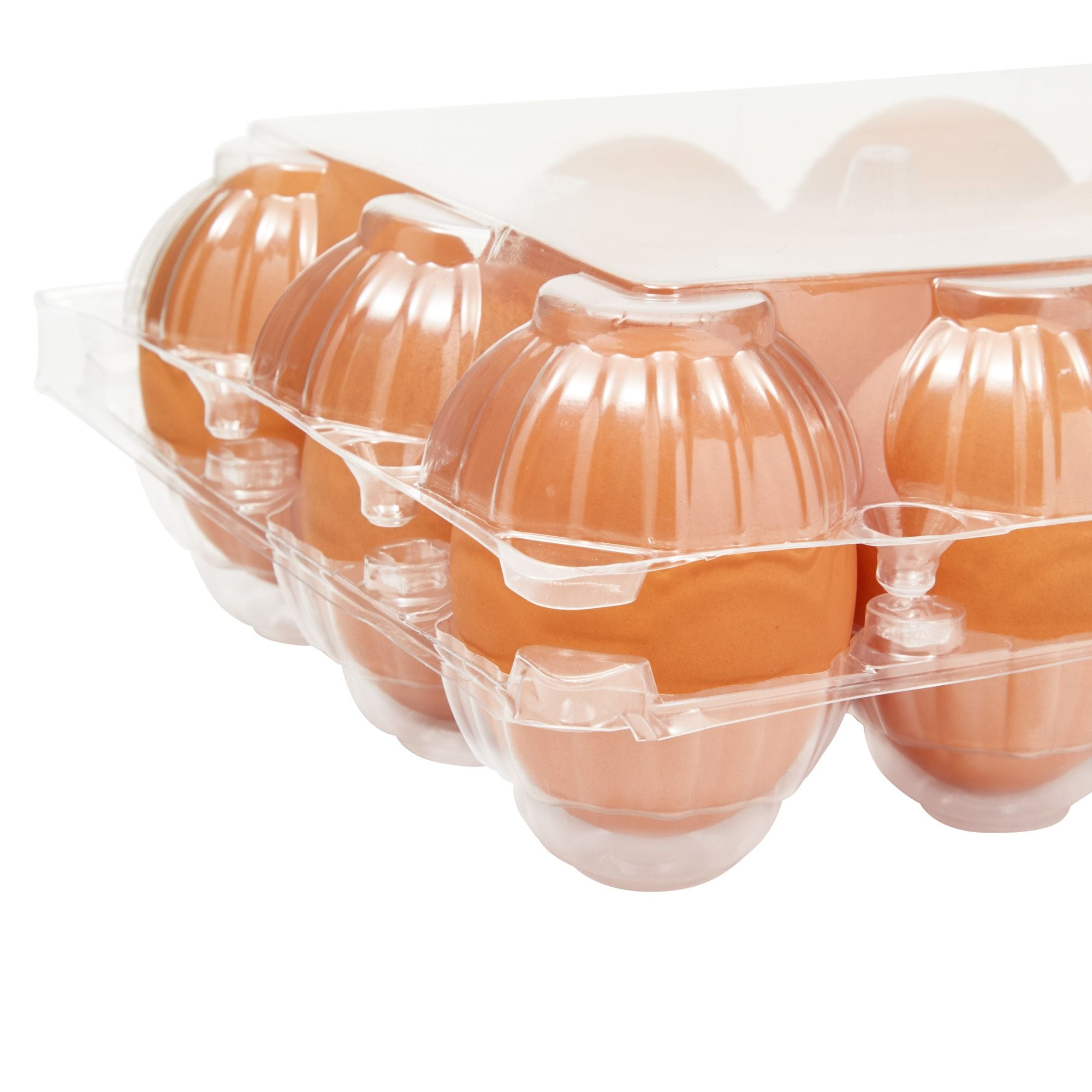 48-Pack Plastic Egg Cartons, Holds 1 Dozen with Date Labels Included, Bulk Pack of Reusable Egg Cartons for Chicken Eggs, Home Ranch, Farm, Commercial Use, Market Display