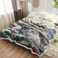 thumbnail image 4 of Christmas Sherpa Blanket Owl Sherpa Throw Blanket Soft Cozy Fuzzy Animal Berry Branch Snow Fleece Flannel Plush Blankets Warm Throw Blankets for Couch Sofa Bed Gray Blue Scarlet White 40\, 4 of 6
