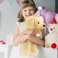 thumbnail image 4 of MorisMos 18" Dog Stuffed Animals with Cake,Removable Candle Glow for Birthday Gift, 4 of 9