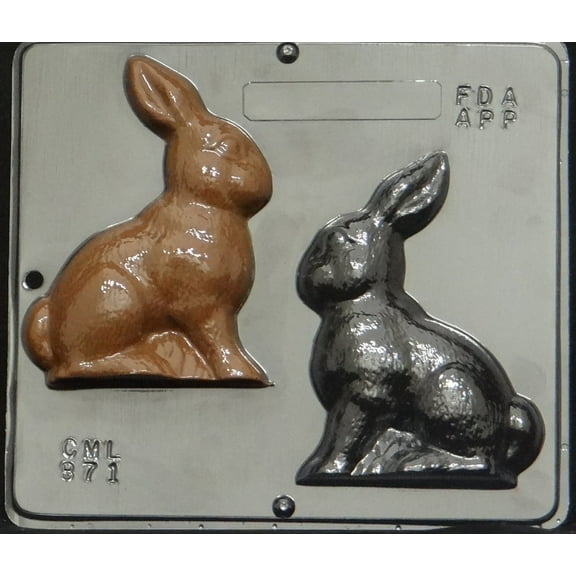Candy Molds N More 2-Cavity Bunny Chocolate Candy Mold, 1 Count 871