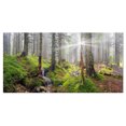 thumbnail image 2 of Bright Green Carpathian Forest - Landscape Photography Canvas Print, 2 of 3