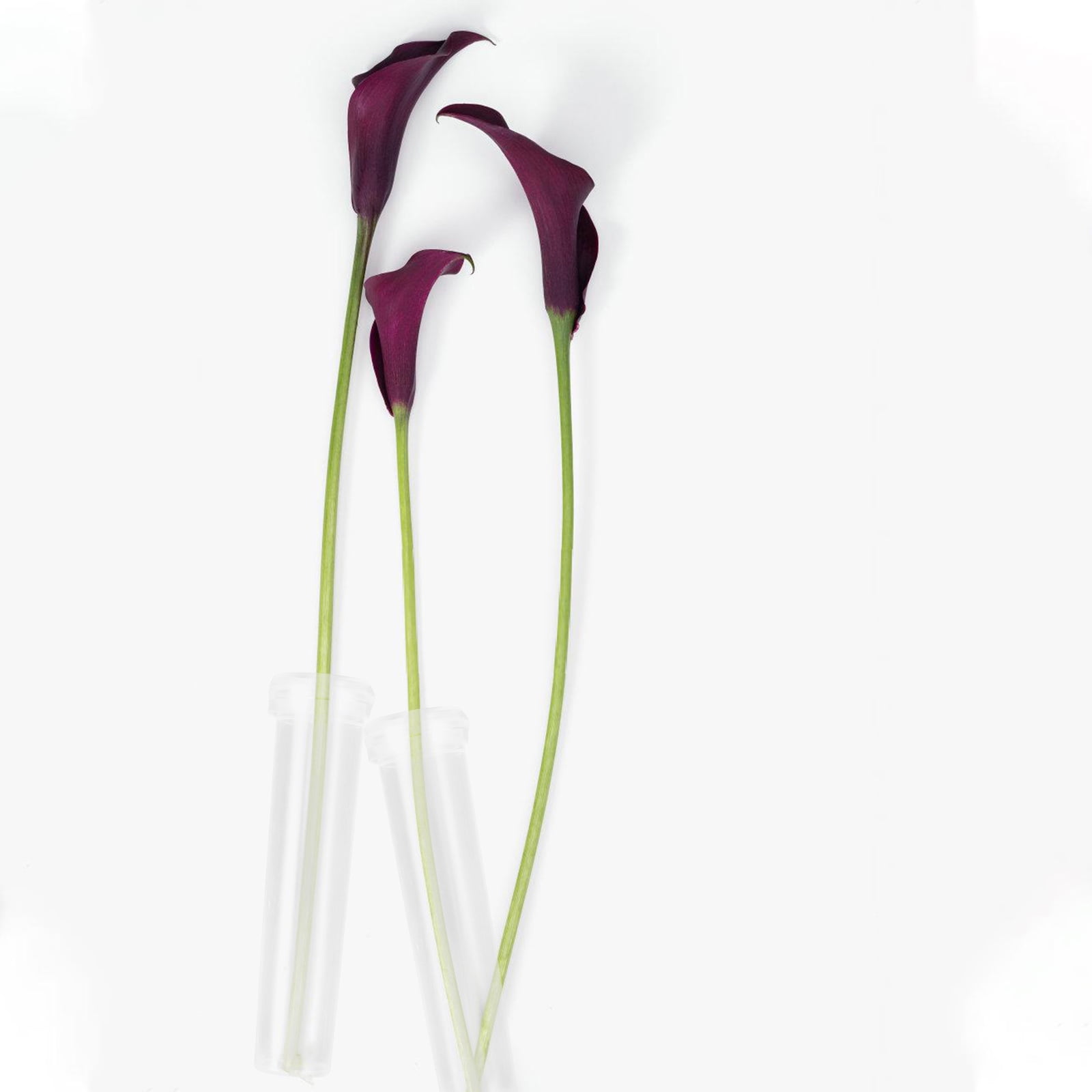 Raindrops Floral Water Tubes for Flower Arrangement Reusable Plastic Flower Tubes Assorted Color 1 Set