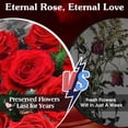 thumbnail image 3 of Bouquet de rosas rojas auténticas preservadas AddWel 24 para ella con LED, 3 of 9