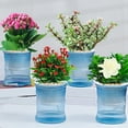 thumbnail image 6 of XingLiang Self-Watering Plastic Flower Pot for Indoor Plants - 12X10.5X10.5Cm Transparent Lazy Planter with Water Storage for Desktop, Living Room, Office - Red, Blue, Green Options, 6 of 7