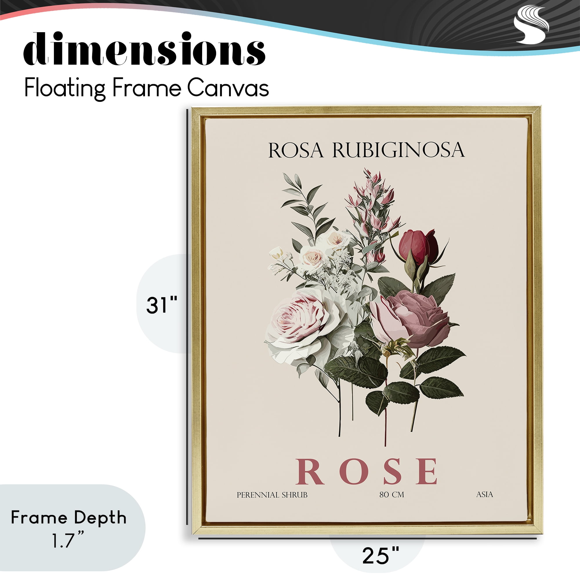 Stupell Industries Natural Rose Bundle Gold Framed Floater Canvas Wall Art, design by Christopher Giampietro