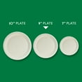 Hefty ECOSAVE Compostable Paper Plates, 8 3/4 inch, 22 Count