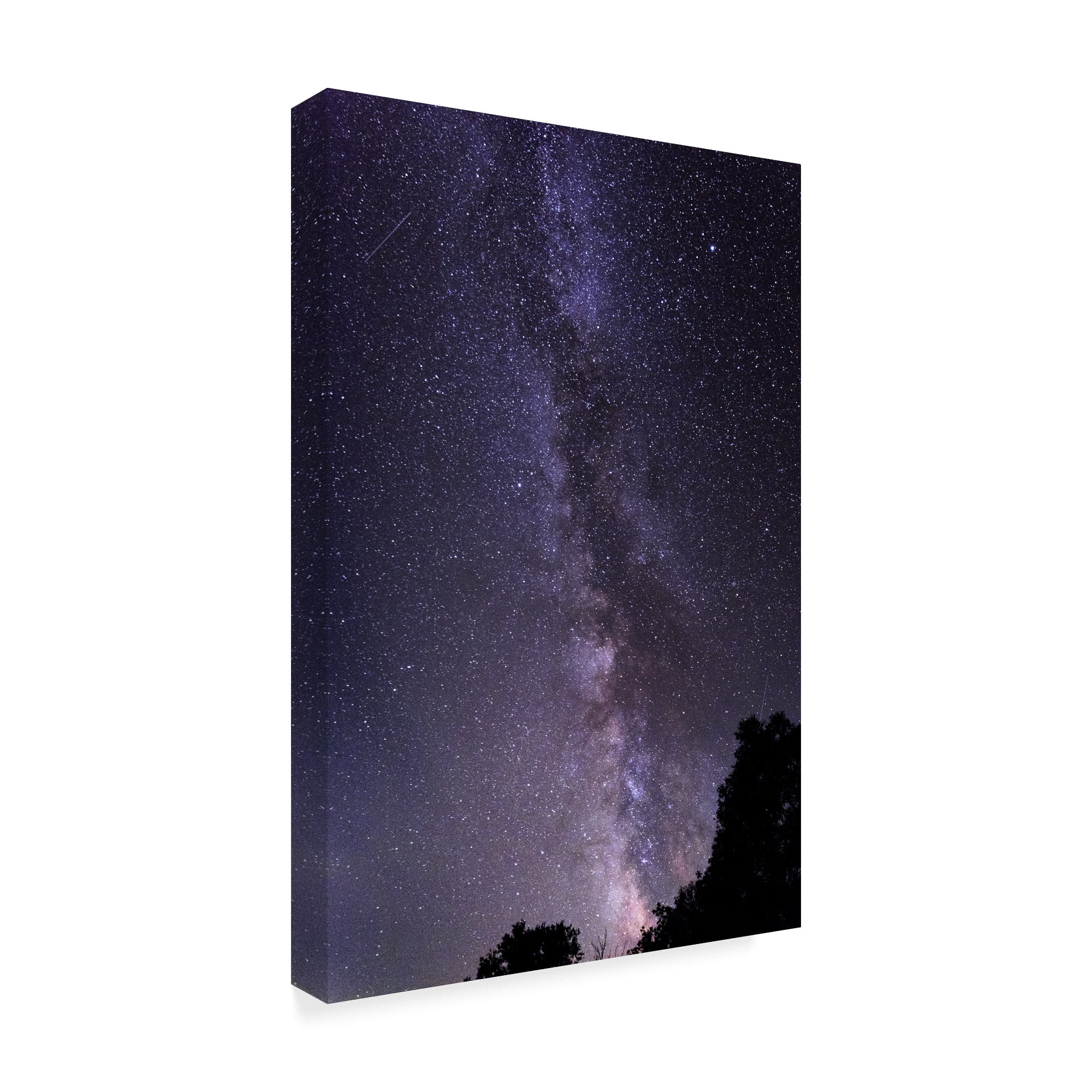 Trademark Fine Art 'Purple Milky Way' Canvas Art by Brenda Petrella Photography Llc