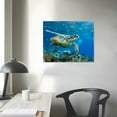thumbnail image 4 of COMIO  - Green Sea Turtle in Deep Ocean Sea Canvas Art Wall Art, 4 of 5