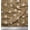 Tortilla Brown, variant on Soimoi Cotton Duck Fabric Leaves & Rose Floral Decor Fabric Printed Yard 42 Inch Wide