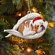 thumbnail image 1 of Xihbxyly Ofertas Del Prime Day Decoraciones Coloridas En Navidad, 1 of 5