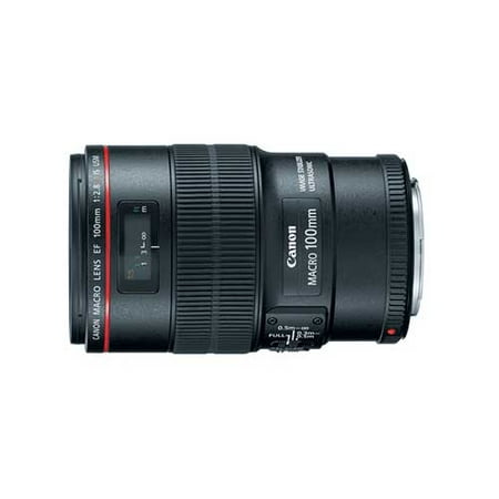 Canon EF Lens 100mm f/2.8 Macro L IS U (Best 100mm Macro Lens For Canon)