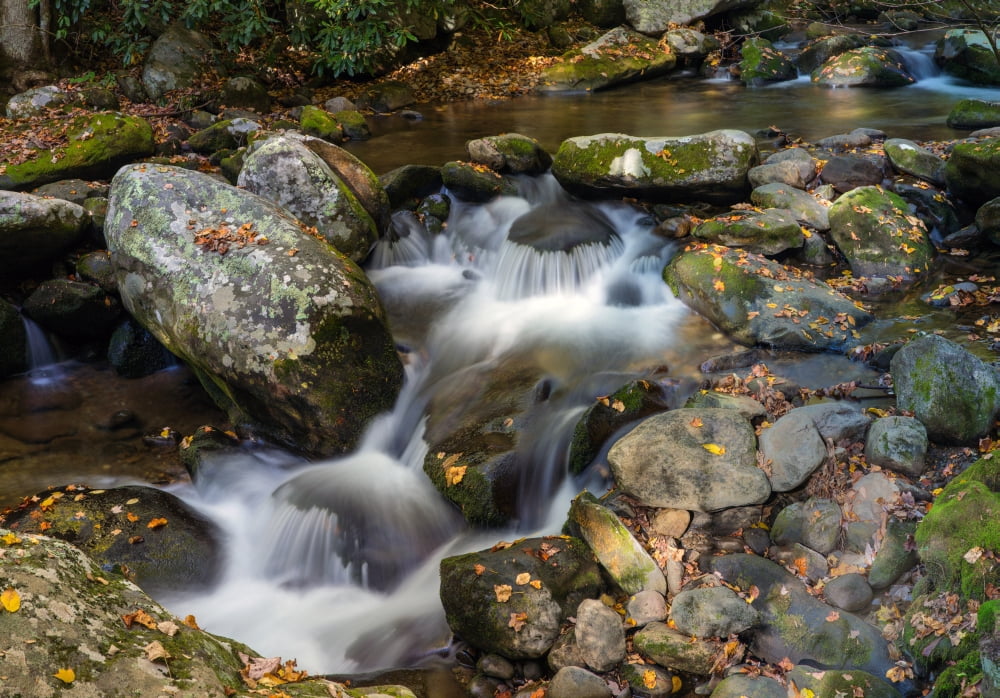 Stream Flowing Thro