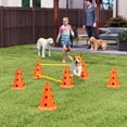 thumbnail image 2 of Dog Agility Hurdle Cone Set, Adjustable Obstacle Course Equipment, 2 of 10