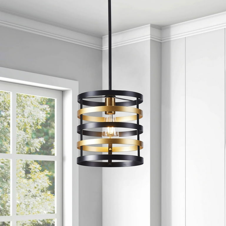 Cage pendant 2024 light fixture