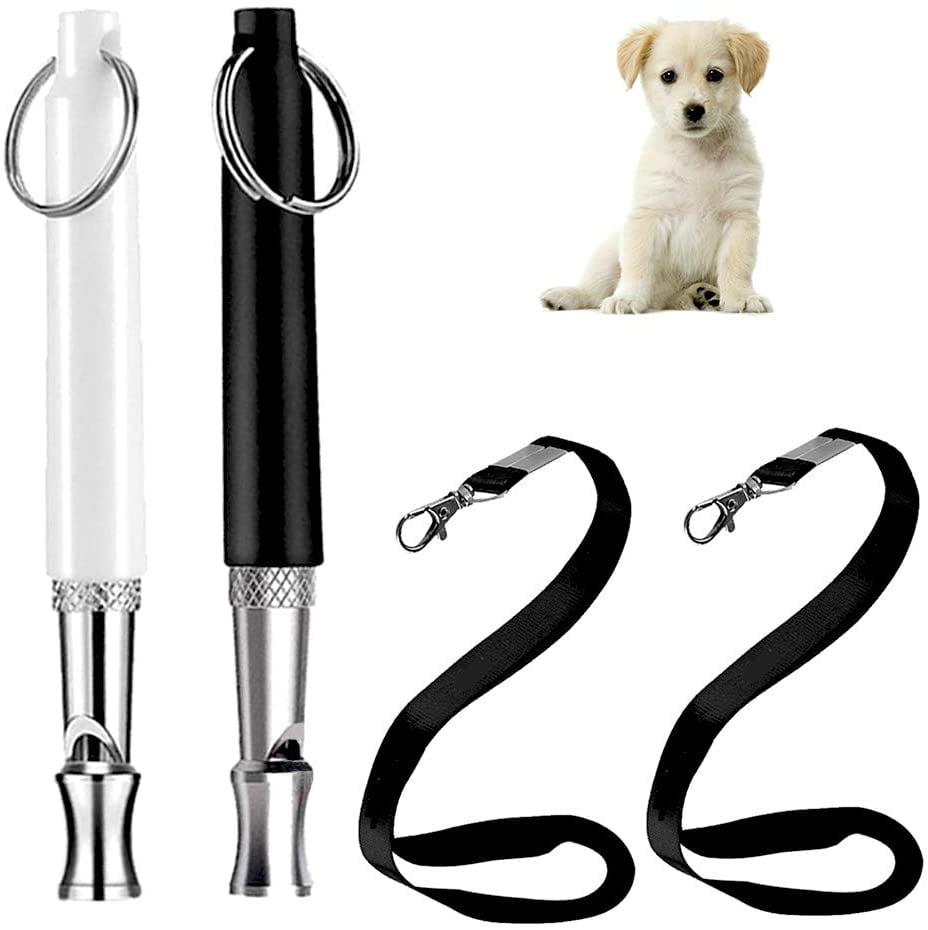 How Far Can A Dog Hear A Whistle