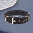 thumbnail image 4 of CSChome Adjustable Pet Collar Dog Collar - Adjustable Nylon Long-Lasting Neck Circle with Traction Ring, 4 of 6