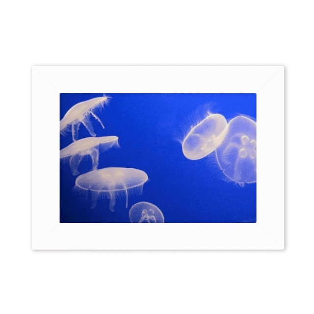 Ocean Jellyfish Science Nature Picture Photo Mount Frame Picture Art Painting Desktop 5x7 inch
