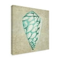 thumbnail image 2 of Trademark Fine Art 'Seafoam Shell IV' Canvas Art by Chariklia Zarris, 2 of 4