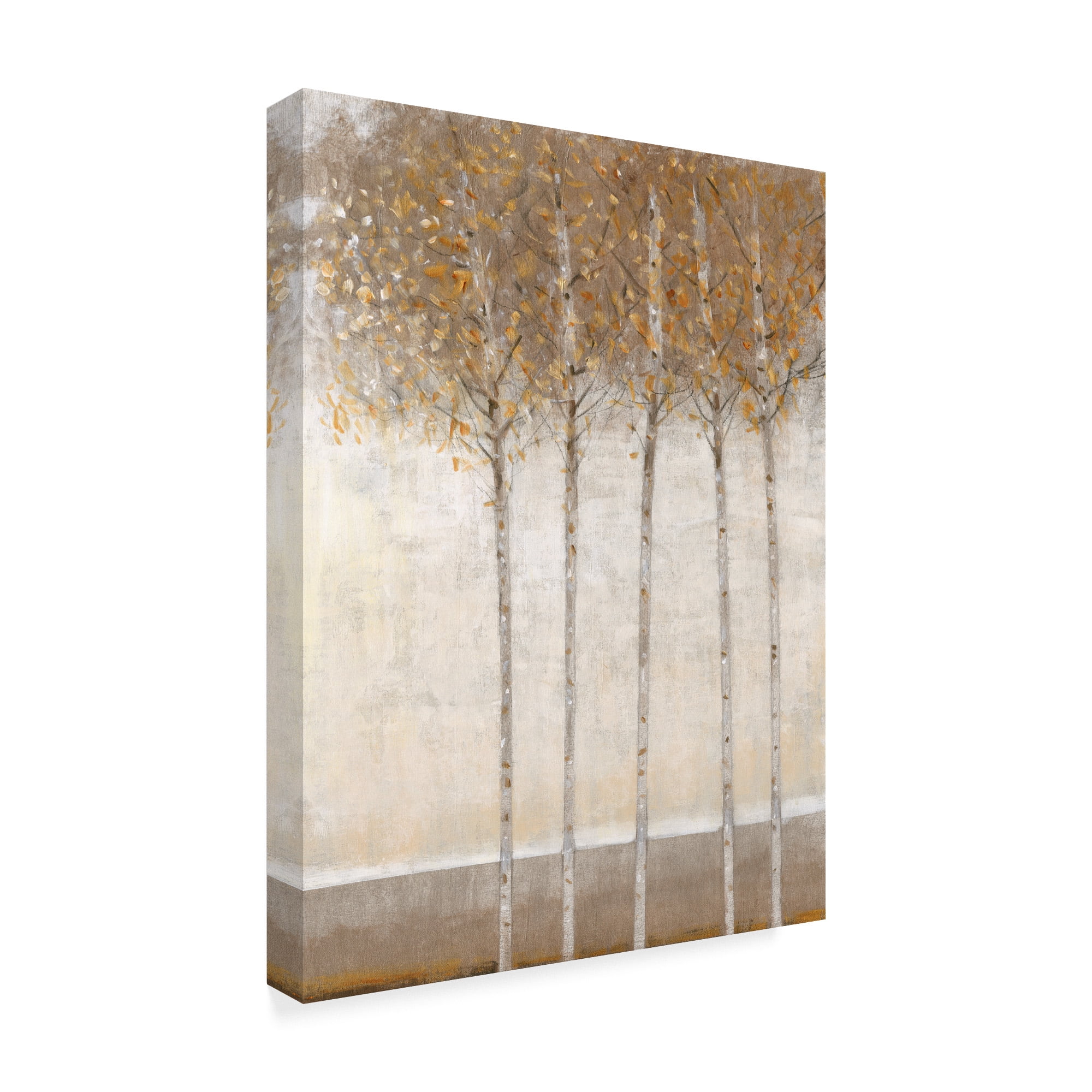 Trademark Fine Art 'Early Fall I' Canvas Art by Tim OToole