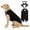C, variant on Aximioll Dog Tuxedo Harness Suit, Formal Wedding Bandana Vest with Bow Tie, Elegant Pet Party Clothes Apparel for Small Medium Large Dogs Dress Up, White/M