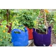 thumbnail image 3 of SMART POT 5 Gallon Fabric Grow Bag w/cut handles - Violet, 3 of 5
