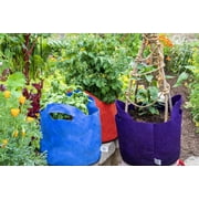 SMART POT 3 Gallon Fabric Grow Bag مع مقابض مقطوعة - أزرق
