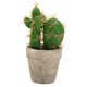 thumbnail image 1 of Mini planta de cactus artificial en maceta, decoración interior creativa, pequeña flor de simulación, 1 of 5