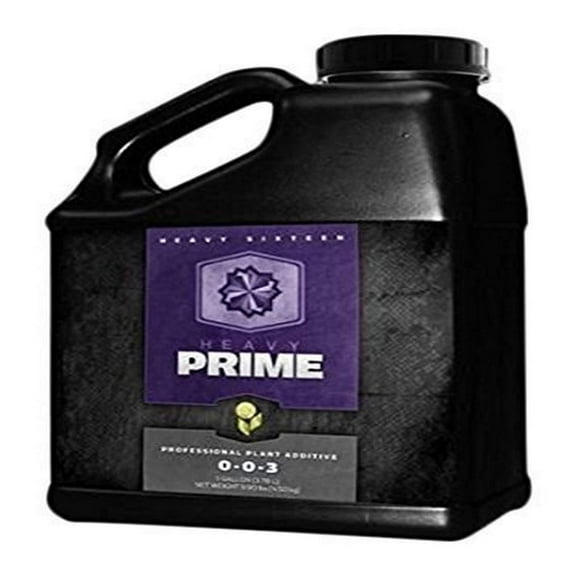 Heavy 16 Prime Concentrate Quart (1L)