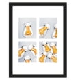 thumbnail image 3 of Bev Davies Photo Booth Geese Photo Booth Hares Framed Print Set  (Pack of 2), 3 of 3