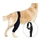 thumbnail image 1 of Salud de las articulaciones de los perros. Rodillera para perros. Rodillera para perros. Rodillera para perros. Cuidado de heridas por dislocación de rótula. Heridas de rodilla. Prevención, 1 of 5