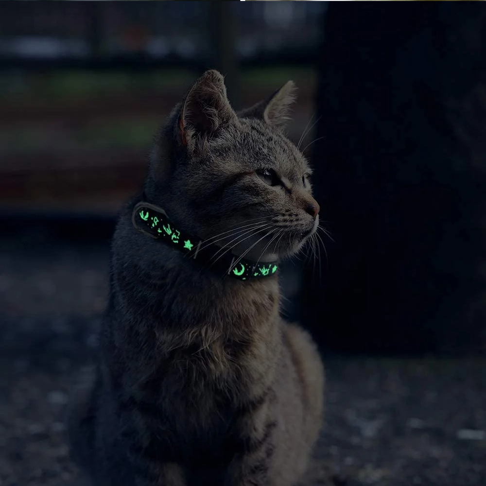 4 Pack Breakaway Cat Collar with Glow in The Dark Adjustable Kitten