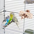 thumbnail image 3 of CSChome Parrot Chew Toy Parrot Toy Safe Material Resistant Braided Leaf Relieve Boredom Friction Skid, 3 of 7