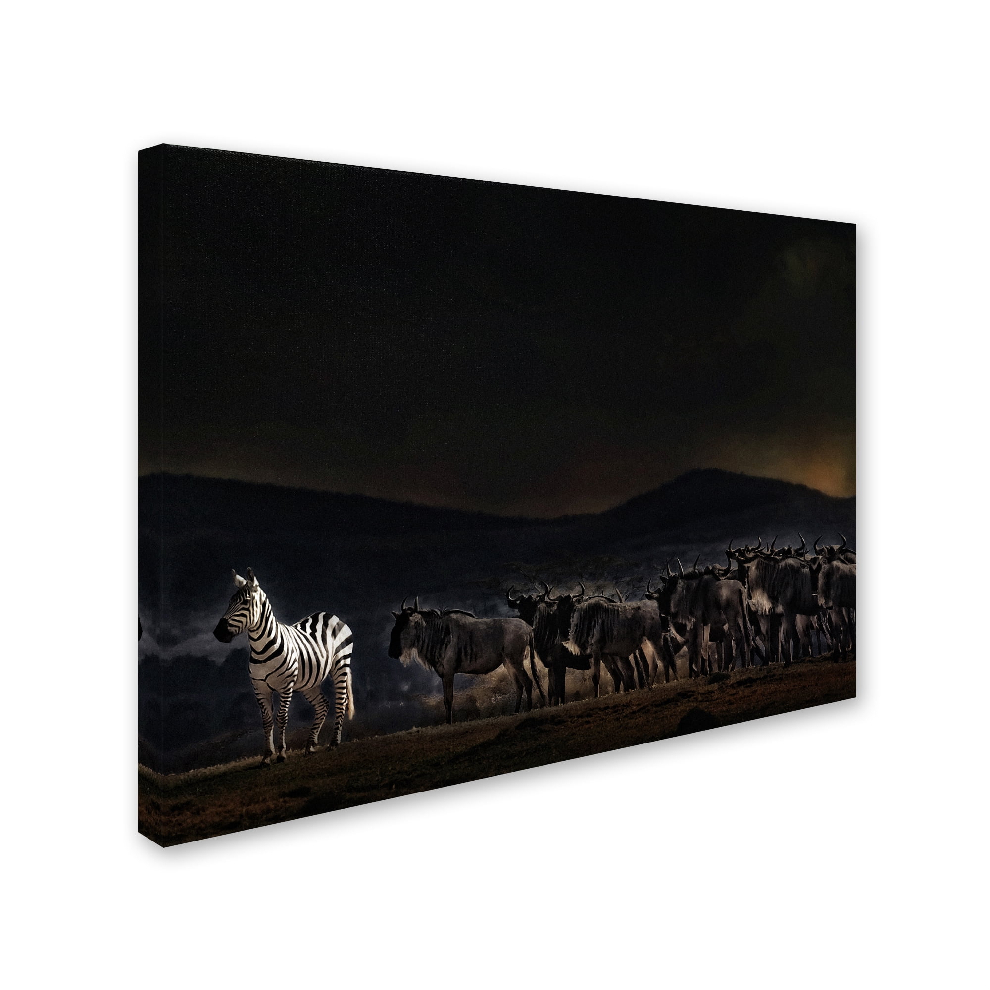 Piet Flour 'An Evening In Kenya' Canvas Art