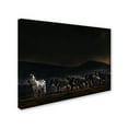 thumbnail image 3 of Piet Flour 'An Evening In Kenya' Canvas Art, 3 of 3