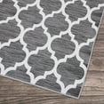 thumbnail image 5 of Non-Slip Runner Rug with Rubber Backing, 2'3''x10' Vintage Hallway Runner Rug, Area Rugs Laundry Throw Rugs and Mats for Laundry Room,Hallways Entryway Bedroom Living Room Office Grey print, 5 of 8